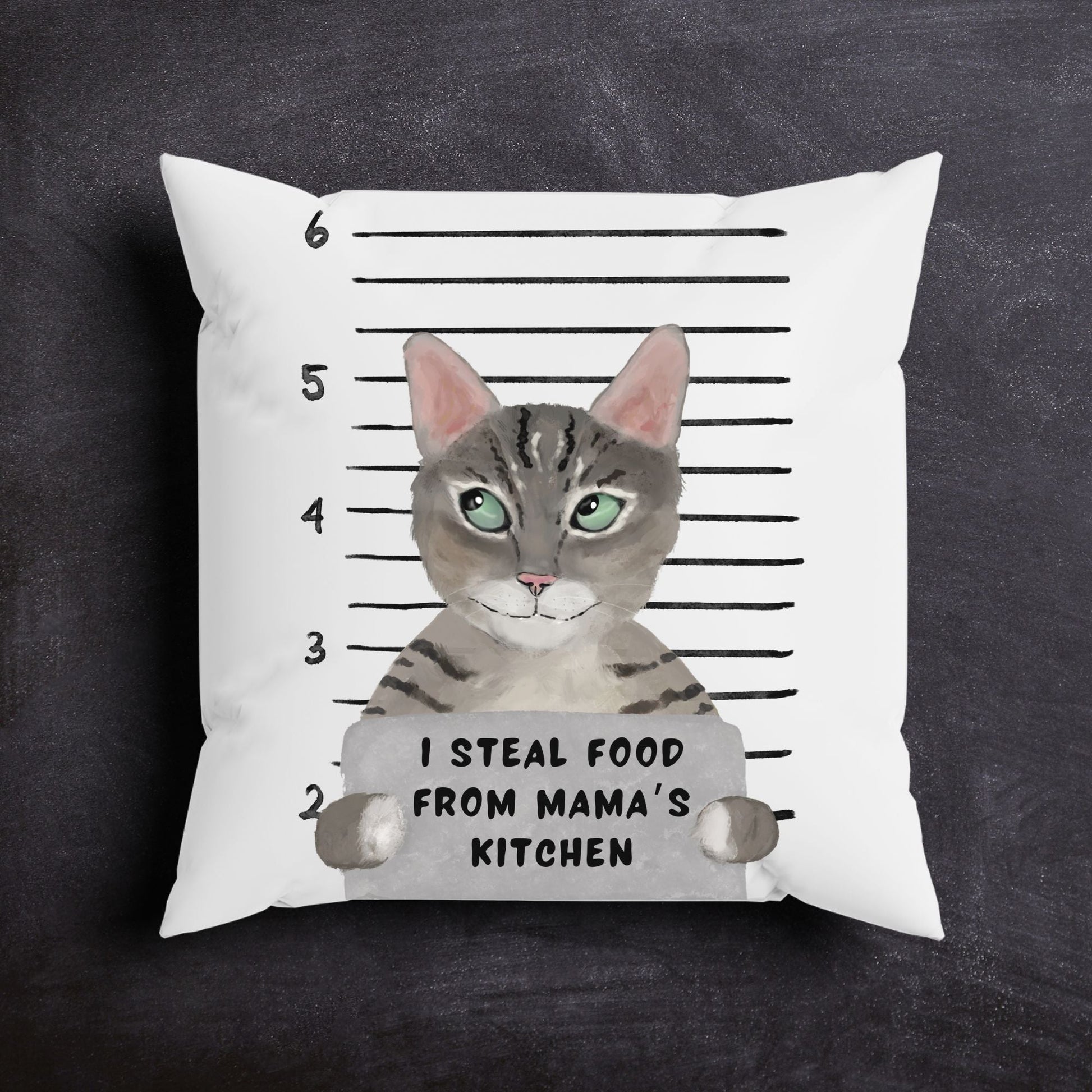 Personalized Tabby Cat Pillow - MerikaArt
