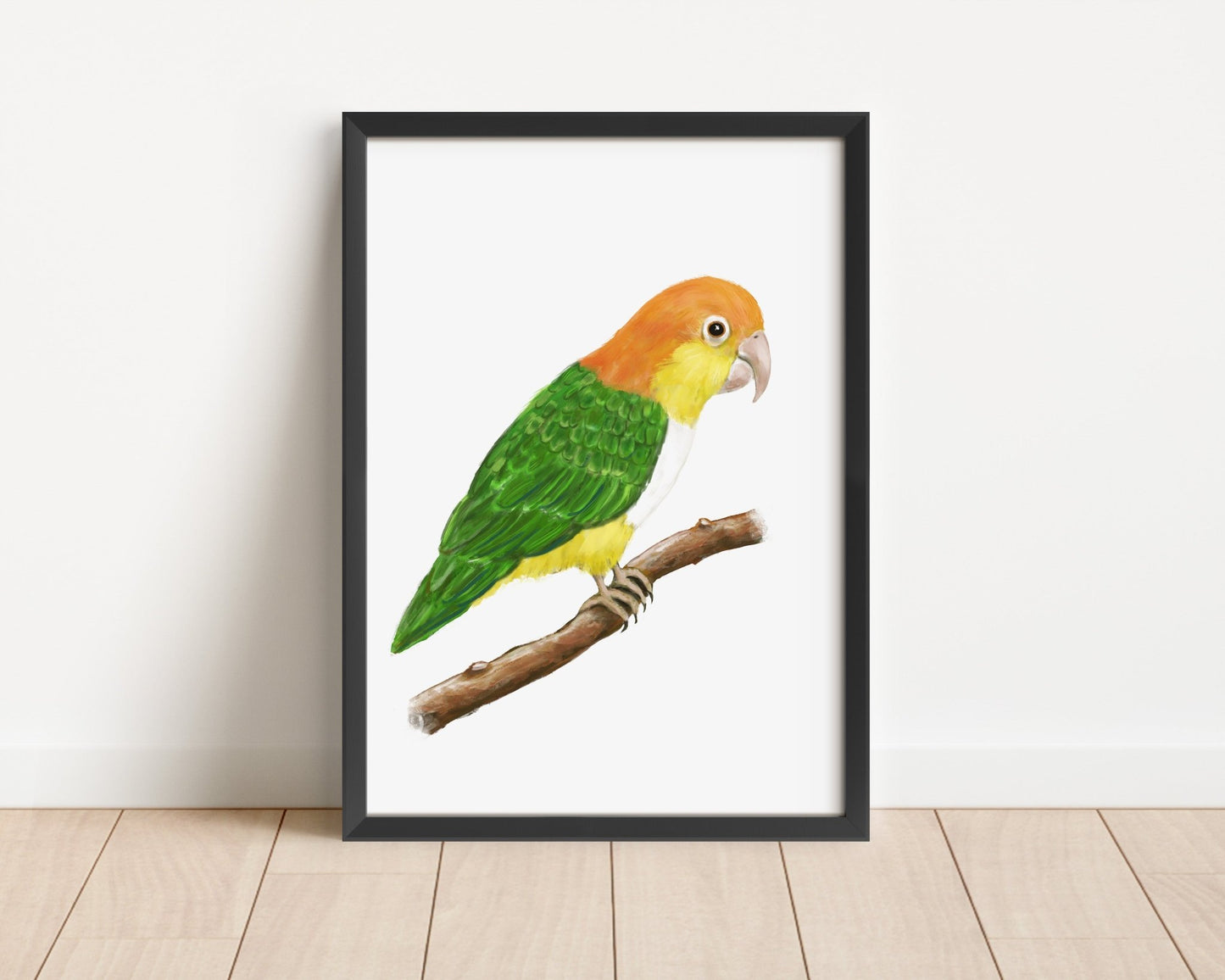 Personalized White - bellied Caique Wall Art Print – Colorful Parrot Illustration for Pet Bird Lovers - MerikaArt