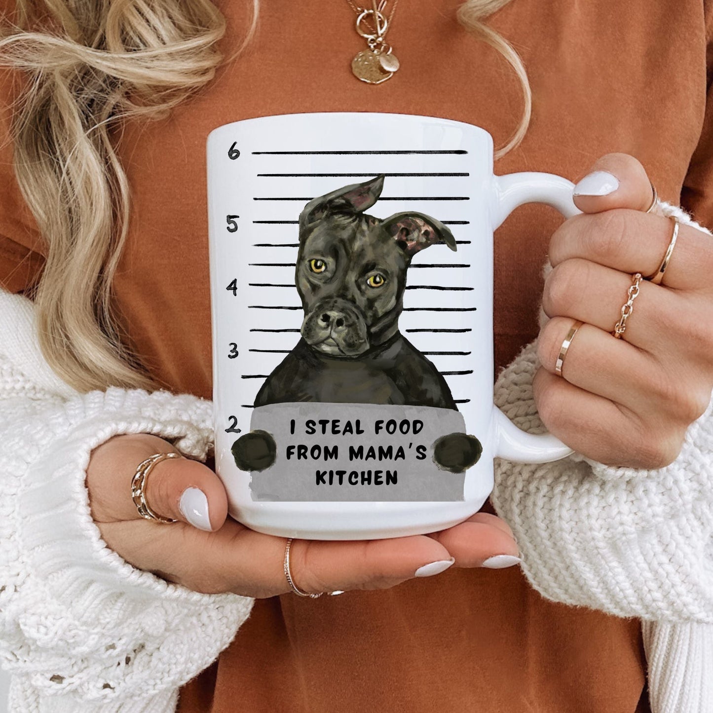 Pit Bull Mugshot Mug - MerikaArt
