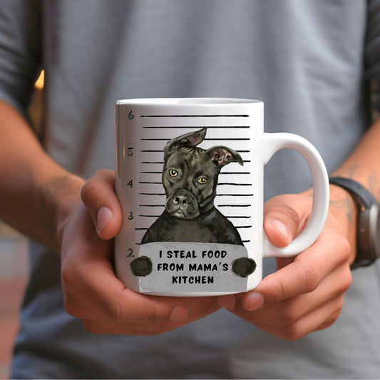 Pit Bull Mugshot Mug - MerikaArt