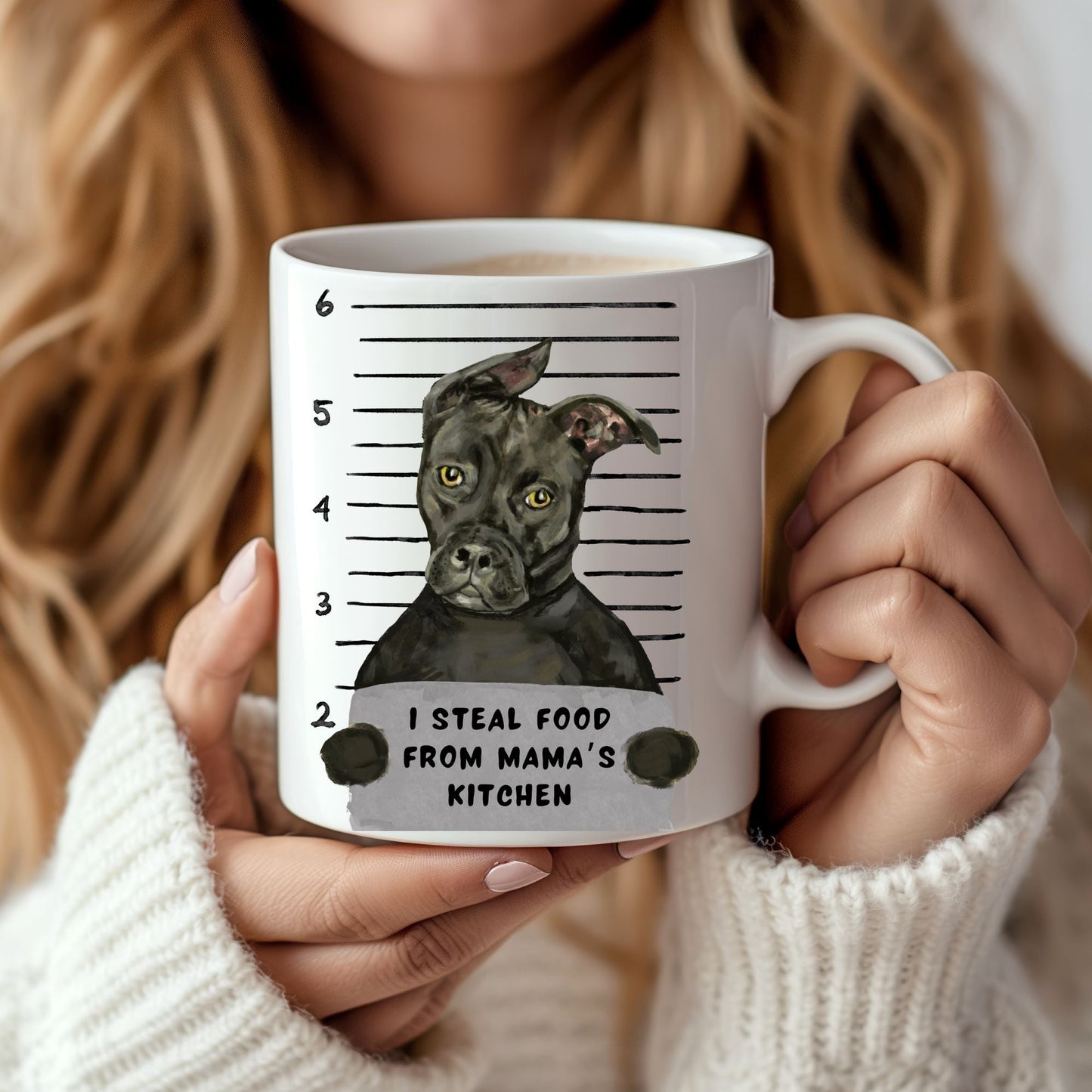 Pit Bull Mugshot Mug - MerikaArt