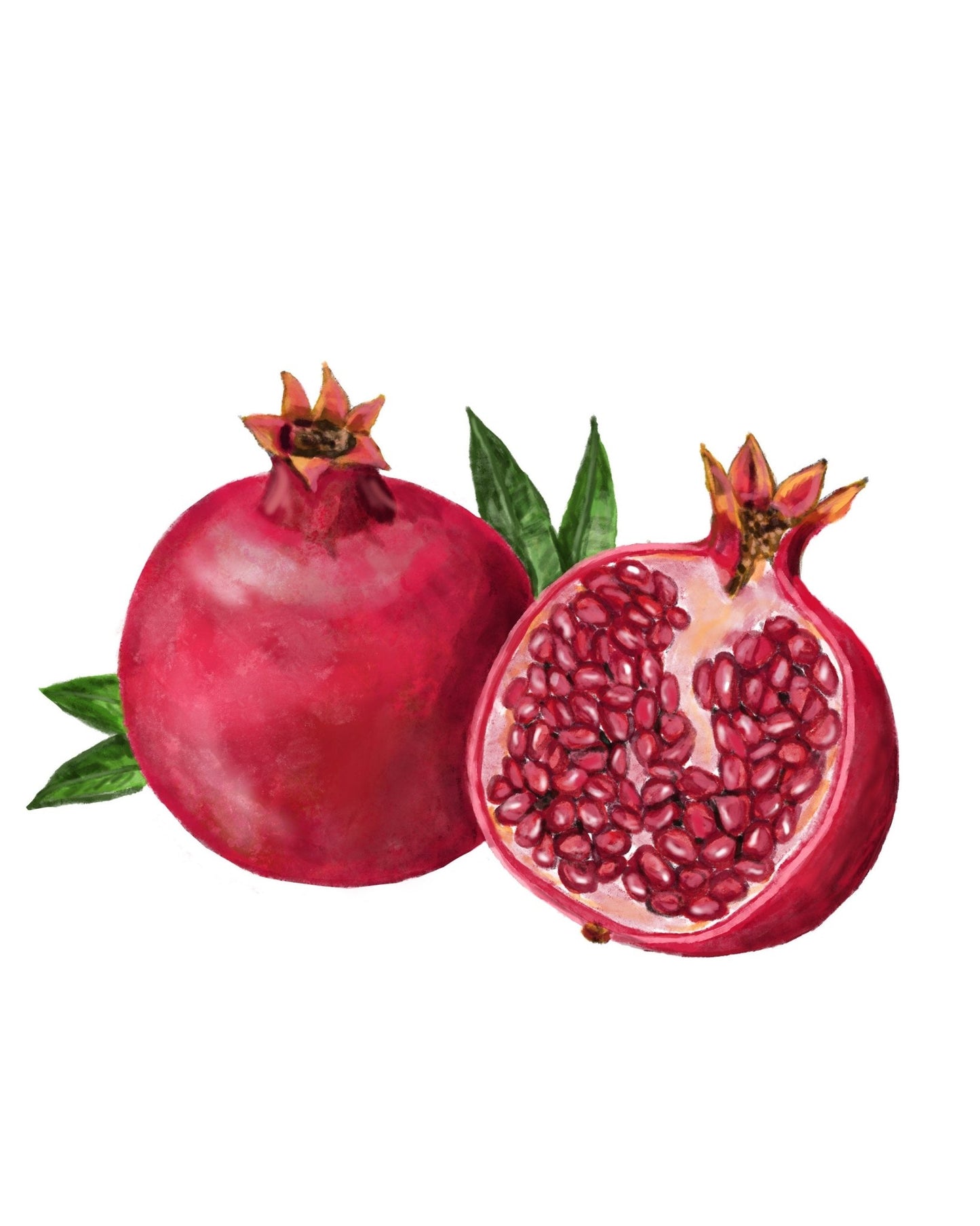 Pomegranate Art Print, Pomegranate Art, Kitchen Wall Hanging, Dining Room Decor, Berry Painting, Fruit Illustration, Farmhouse Wall Decor - MerikaArt