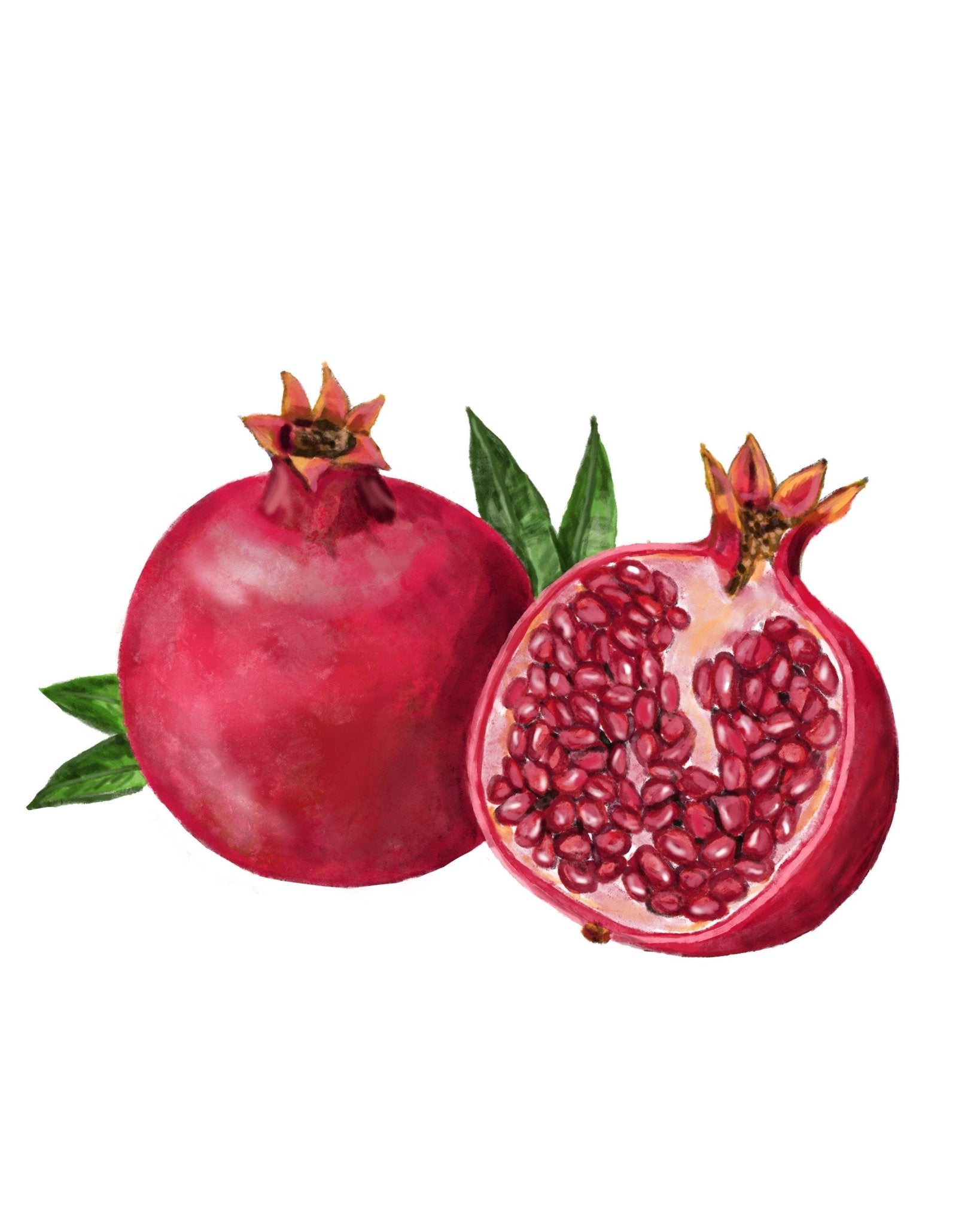 Pomegranate Art Print, Pomegranate Art, Kitchen Wall Hanging, Dining Room Decor, Berry Painting, Fruit Illustration, Farmhouse Wall Decor - MerikaArt