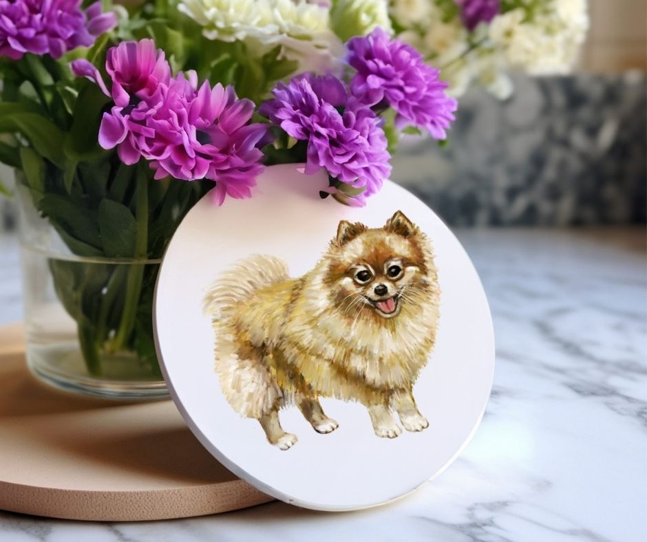Pomeranian Ceramic Coaster - MerikaArt