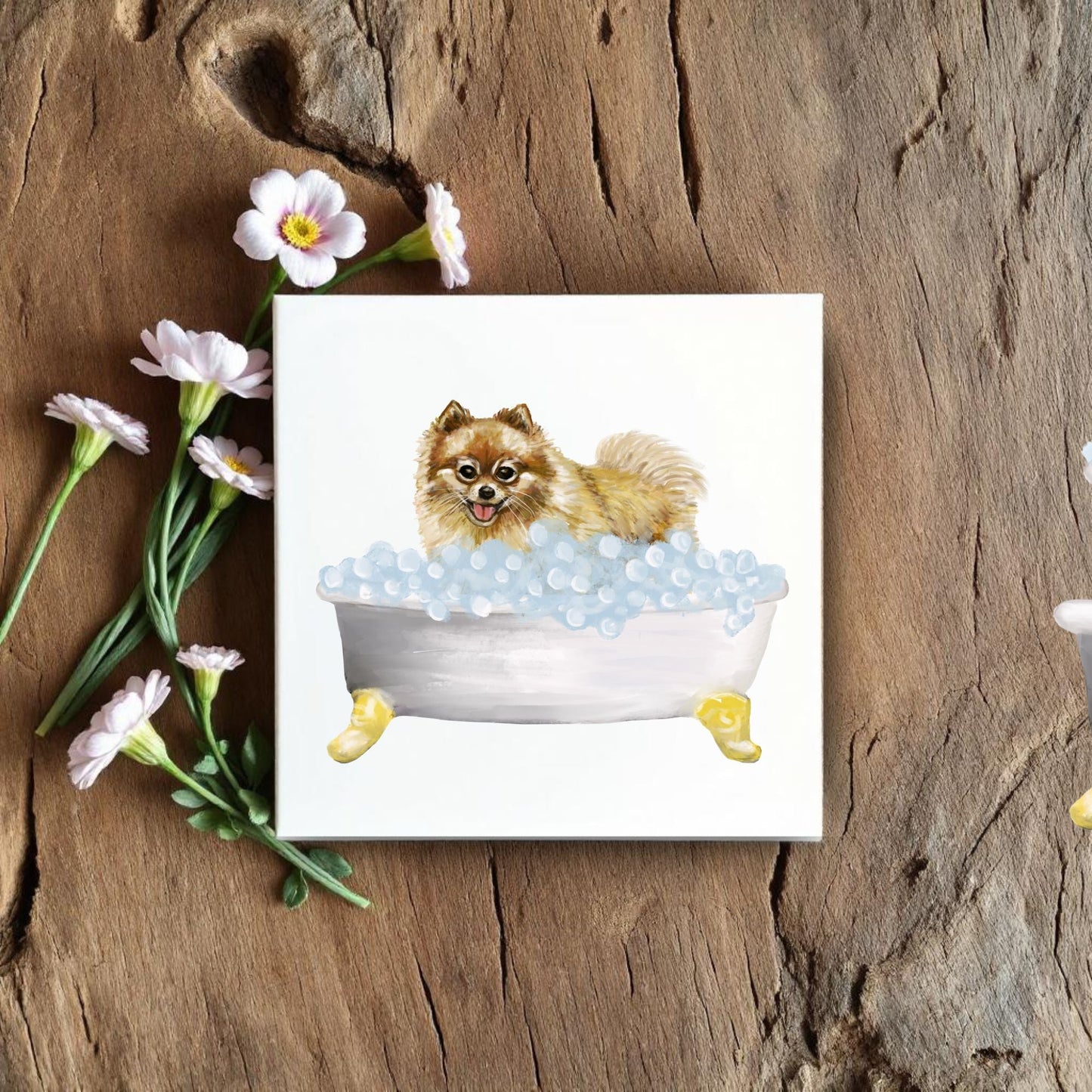 Pomeranian Ceramic Tile - MerikaArt