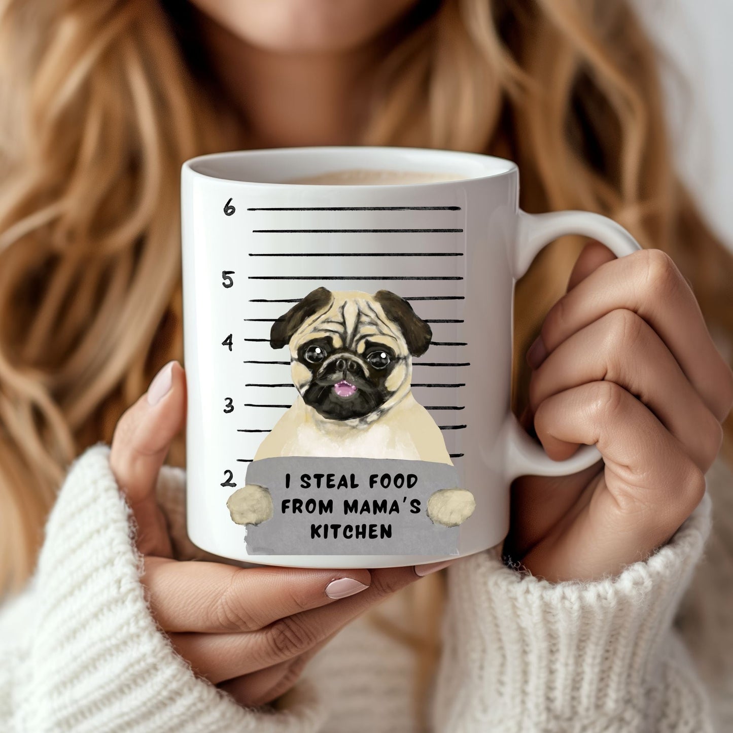 Pug Dog Mugshot Mug - MerikaArt