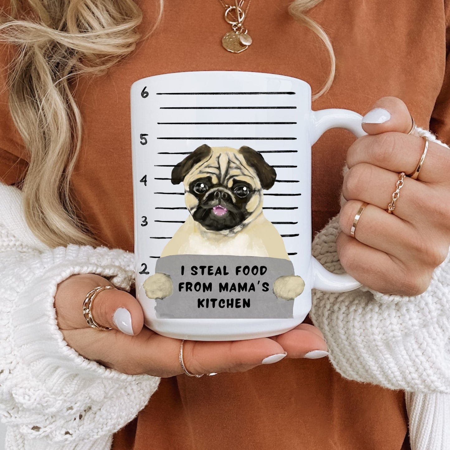 Pug Dog Mugshot Mug - MerikaArt