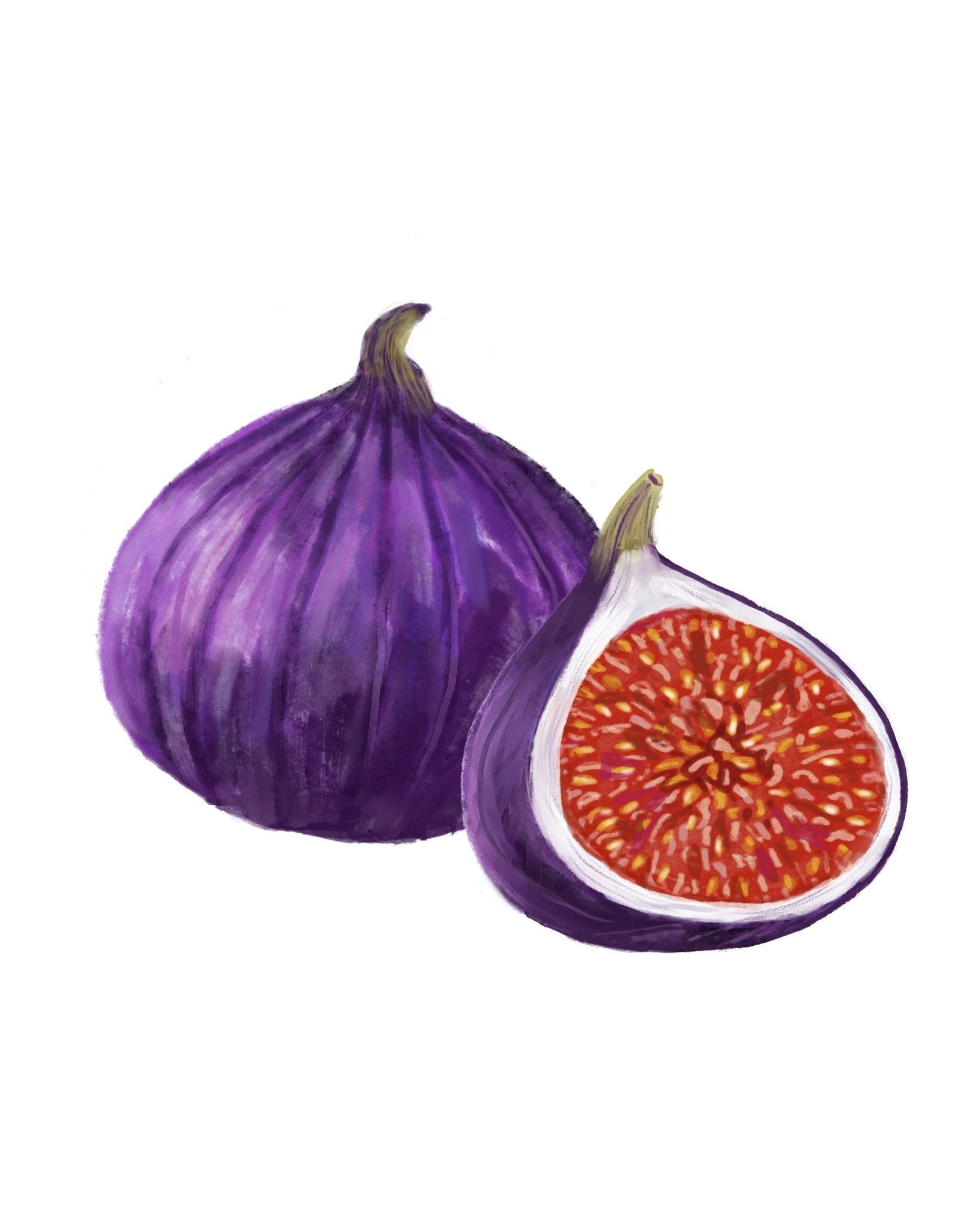 Purple Fig Art Print, Fruit of Heaven Art, Kitchen Wall Hanging, Dining Room Decor, Fig Painting, Fruit Illustration, Farmhouse Wall Decor - MerikaArt