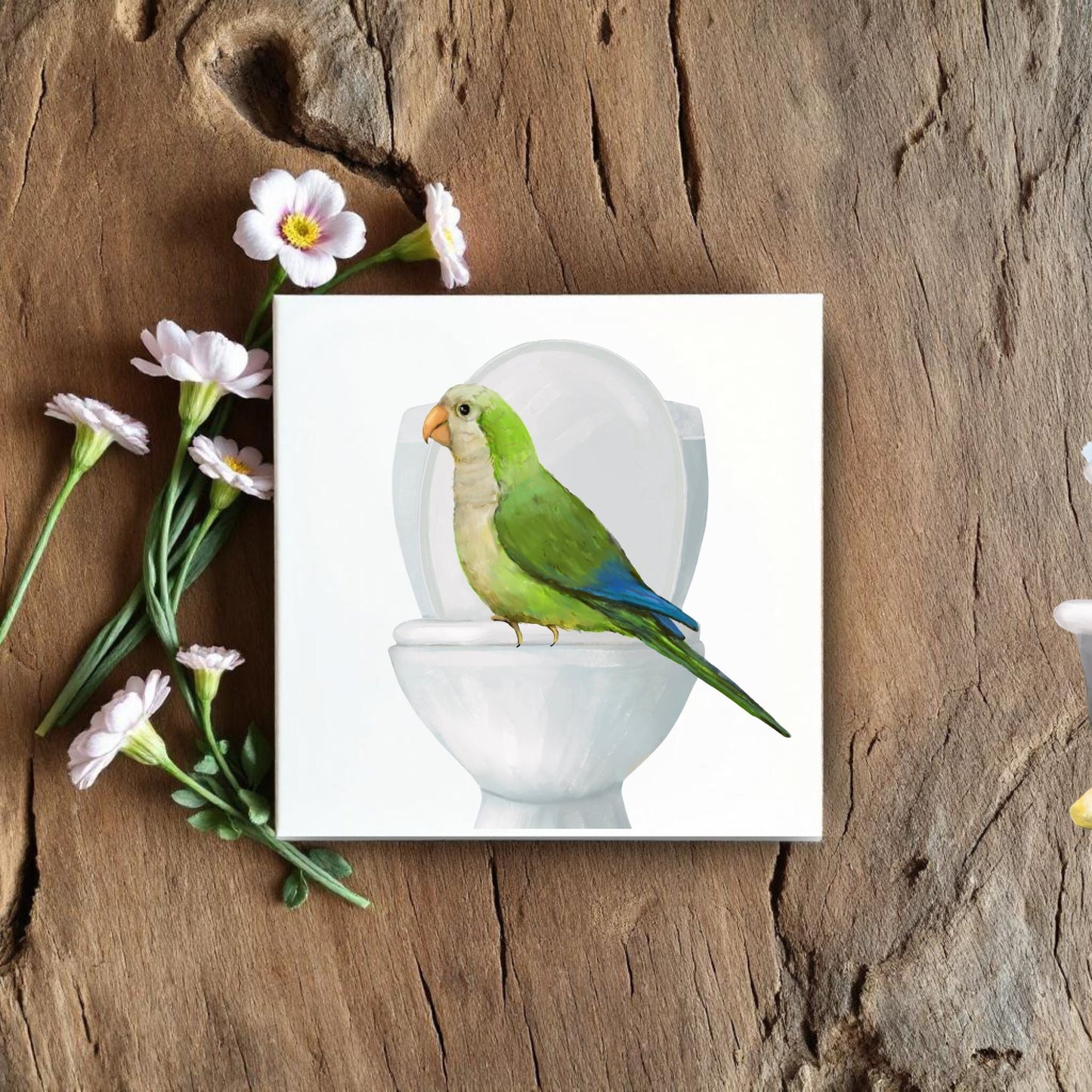 Quaker Parrot on Toilet Ceramic Tile – Handcrafted Whimsical Decor - MerikaArt