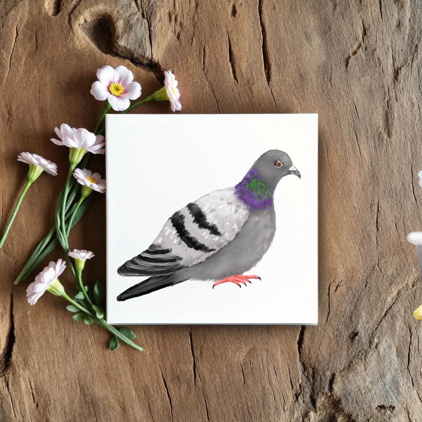 Rock Pigeon Ceramic Tile - MerikaArt