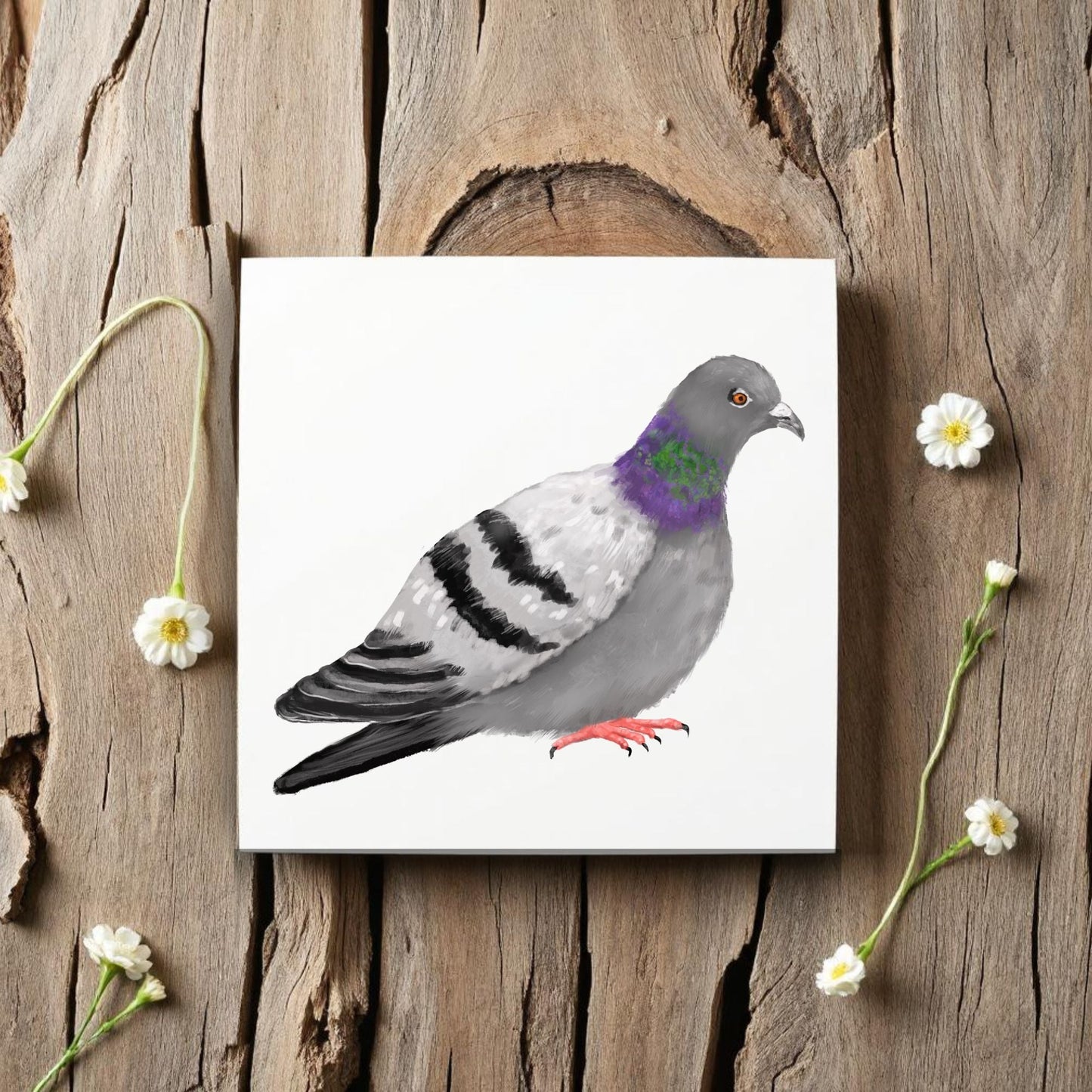 Rock Pigeon Ceramic Tile - MerikaArt