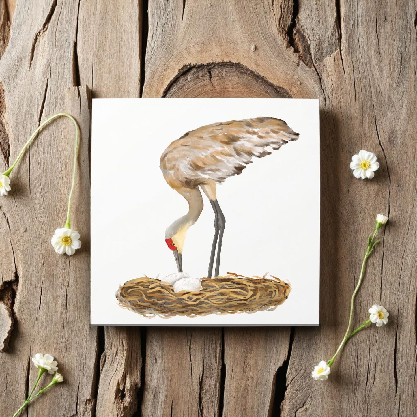 Sandhill Crane with Nest Ceramic Tile - MerikaArt