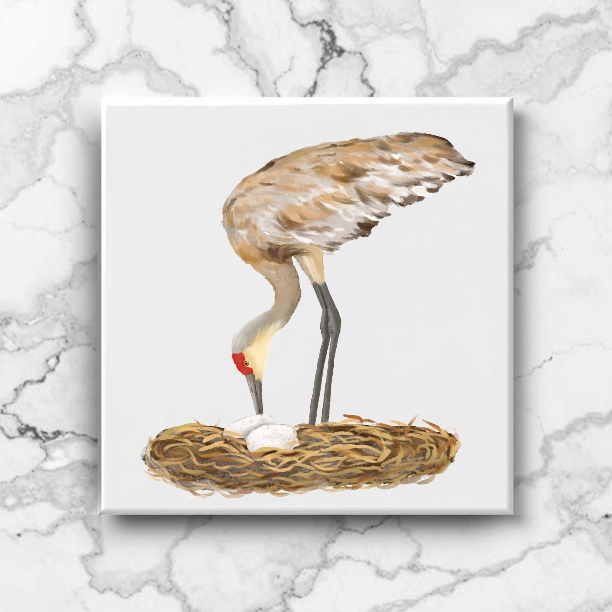 Sandhill Crane with Nest Ceramic Tile - MerikaArt