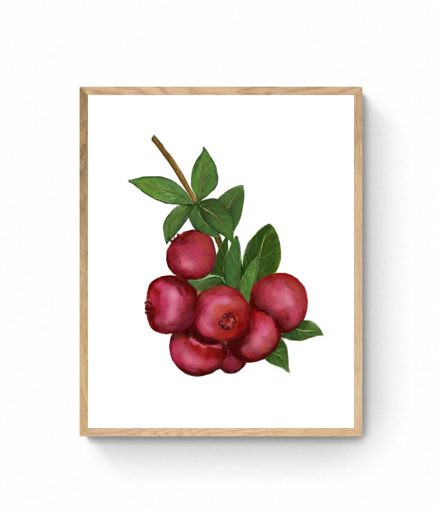 Set of 2 Cranberry Blueberry Art Print, Kitchen Wall Hanging, Dining Room Decor, Berry Painting, Fruit Illustration, Farmhouse Wall Decor - MerikaArt