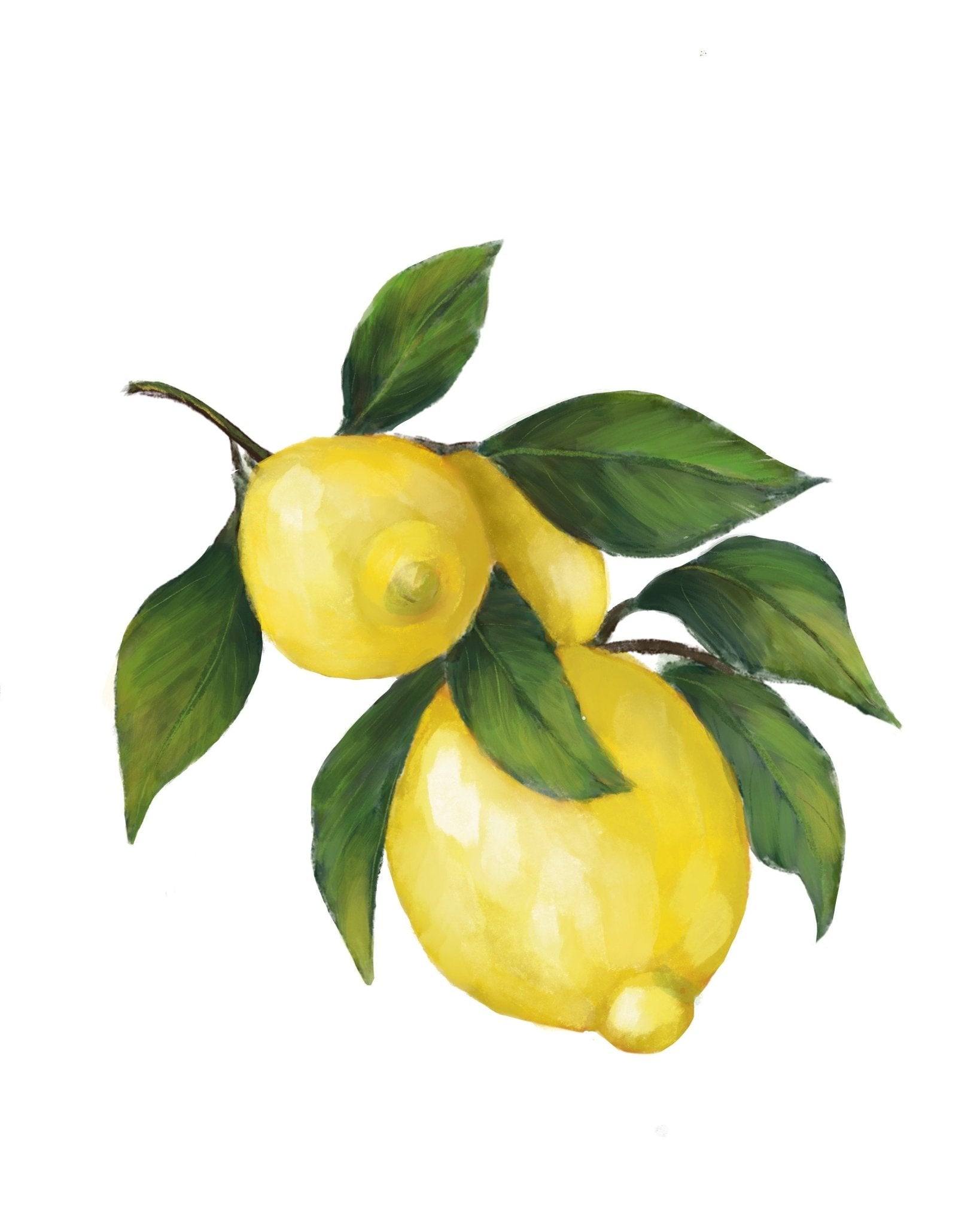 Set of 2 Lemon Art Print, Lemons Wall Art, Kitchen Wall Hanging, Dining Room Decor, Citrus Painting, Fruit Illustration, Farmhouse Decor - MerikaArt