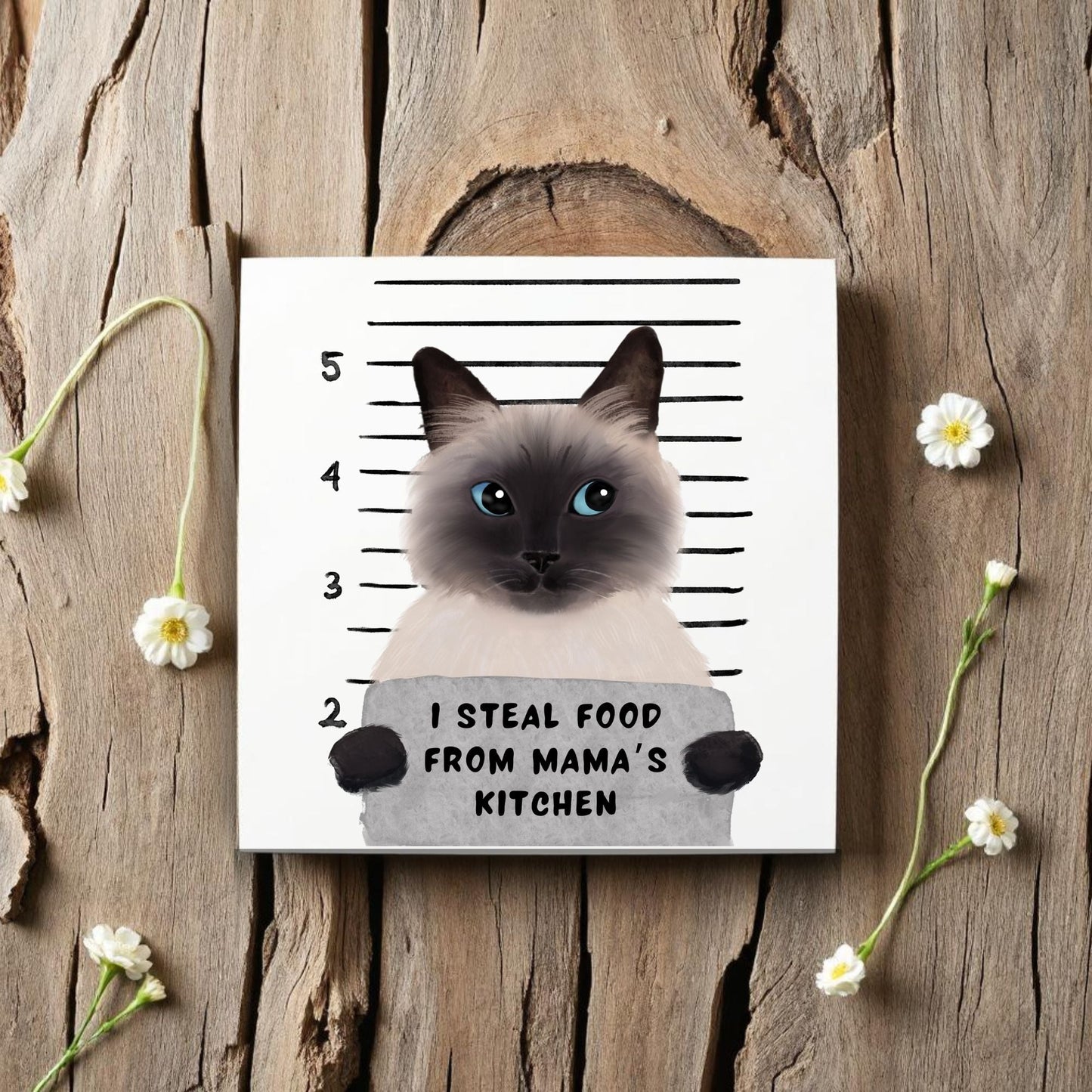 Siamese Cat Mugshot Ceramic Tile - MerikaArt