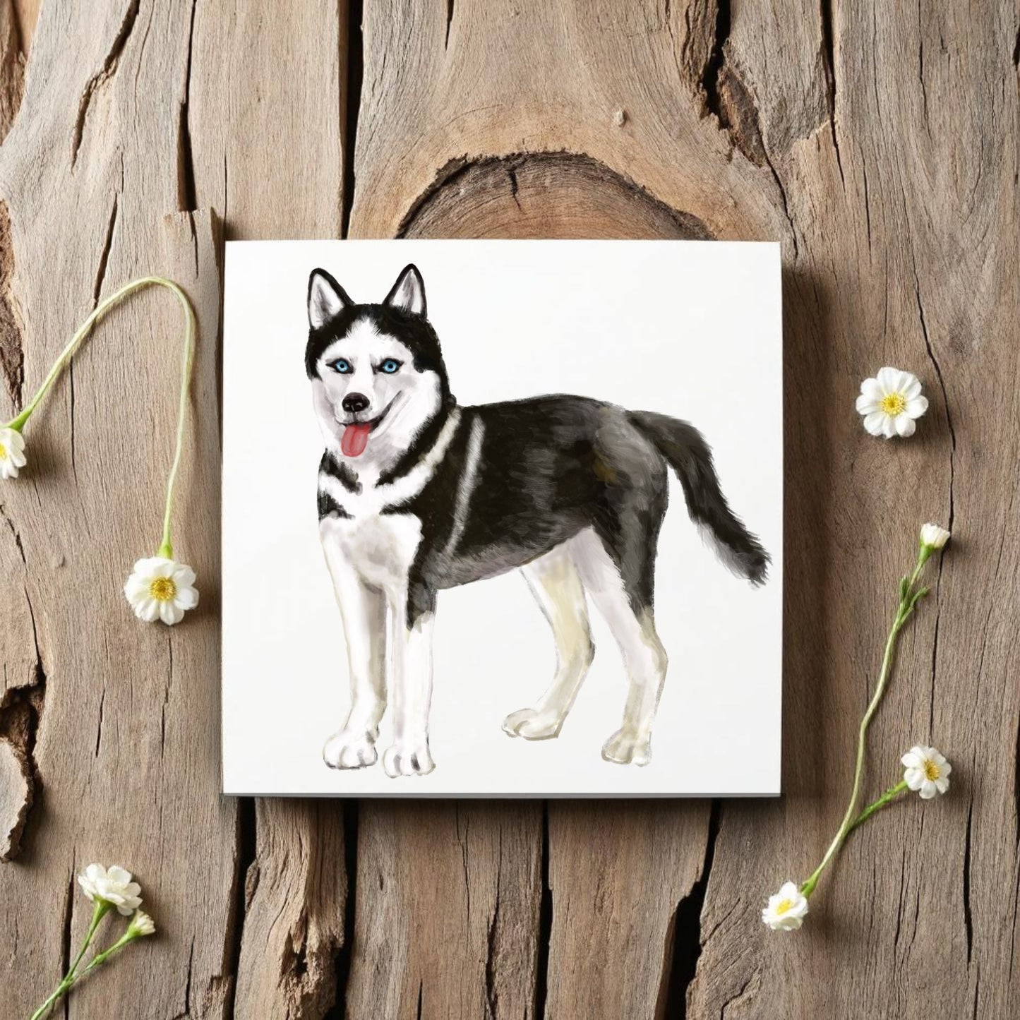 Siberian Husky Ceramic Tile - MerikaArt