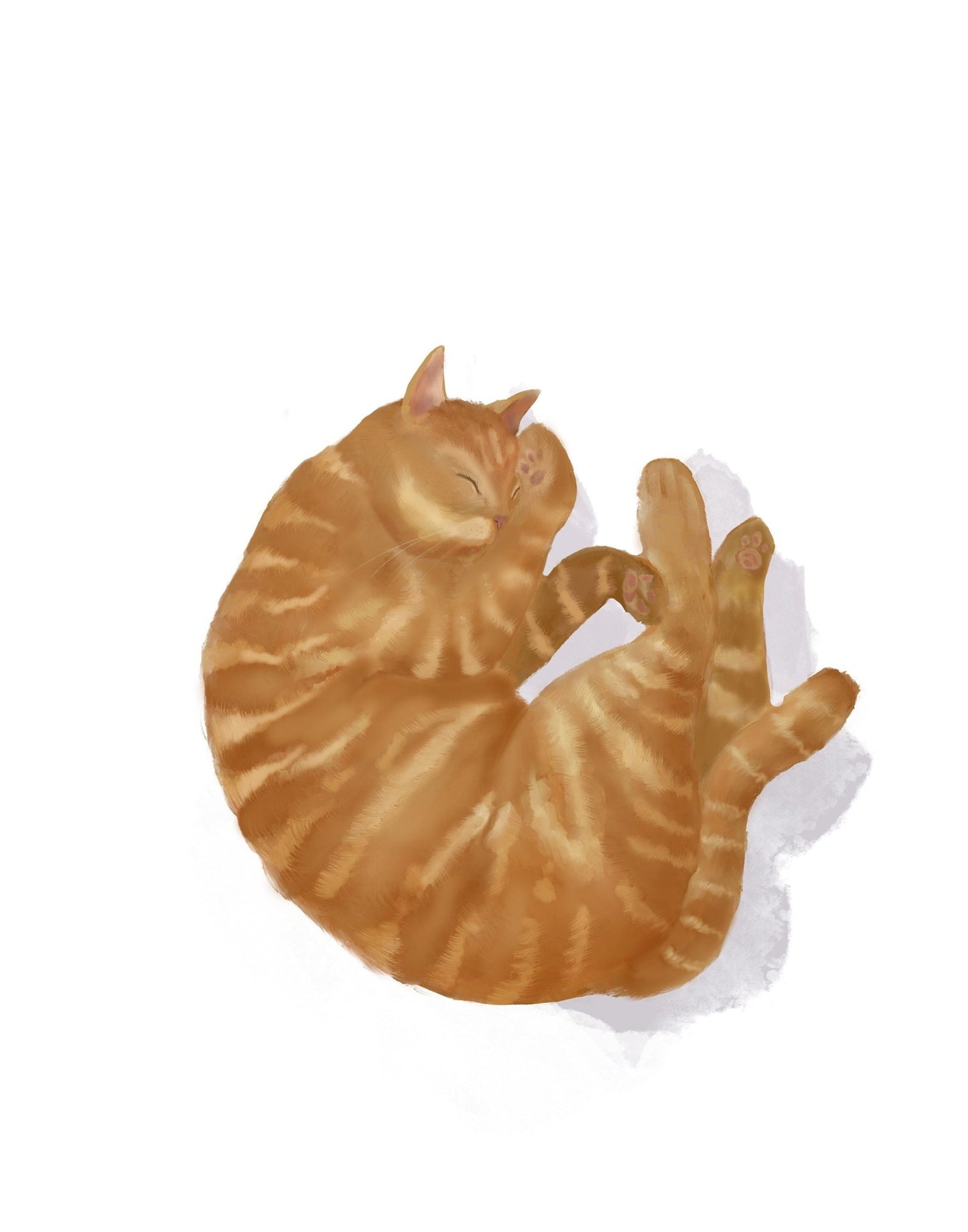 Sleeping Orange And White Tabby Cat Print - MerikaArt