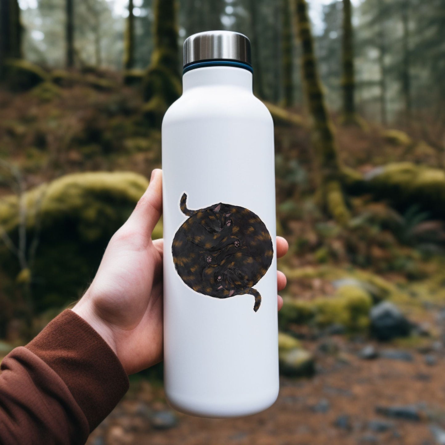 Sleeping Tortoiseshell Cats Vinyl Sticker - MerikaArt