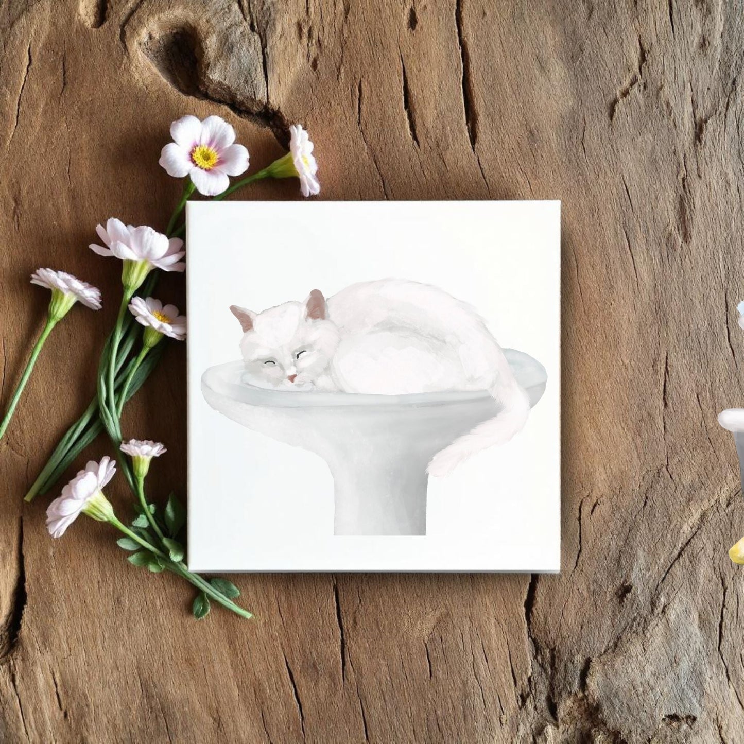 Sleeping White Cat on Sink Ceramic Tile - MerikaArt