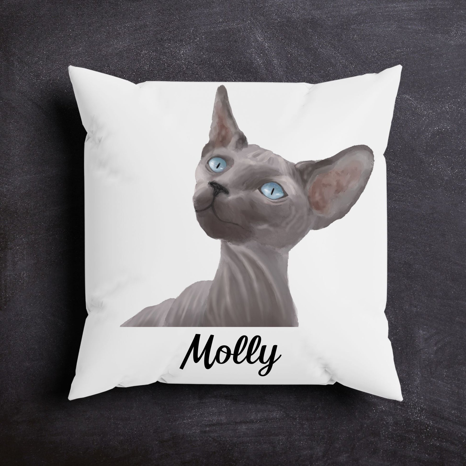 Sphynx Cat Pillow - MerikaArt
