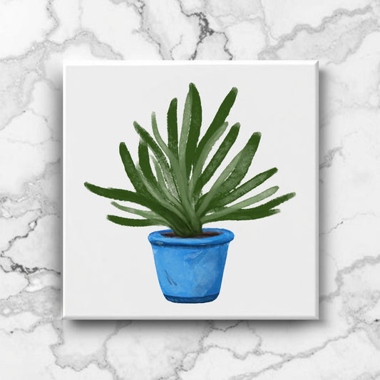 Succulent in Blue Pot Ceramic Tile - MerikaArt