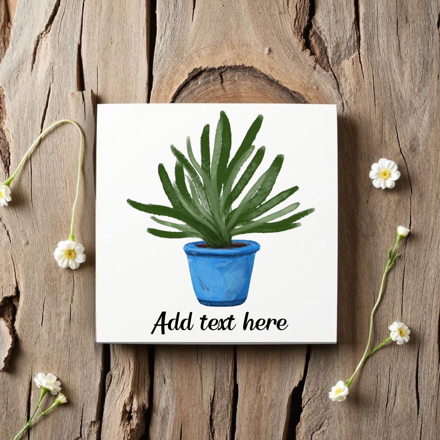 Succulent in Blue Pot Ceramic Tile - MerikaArt