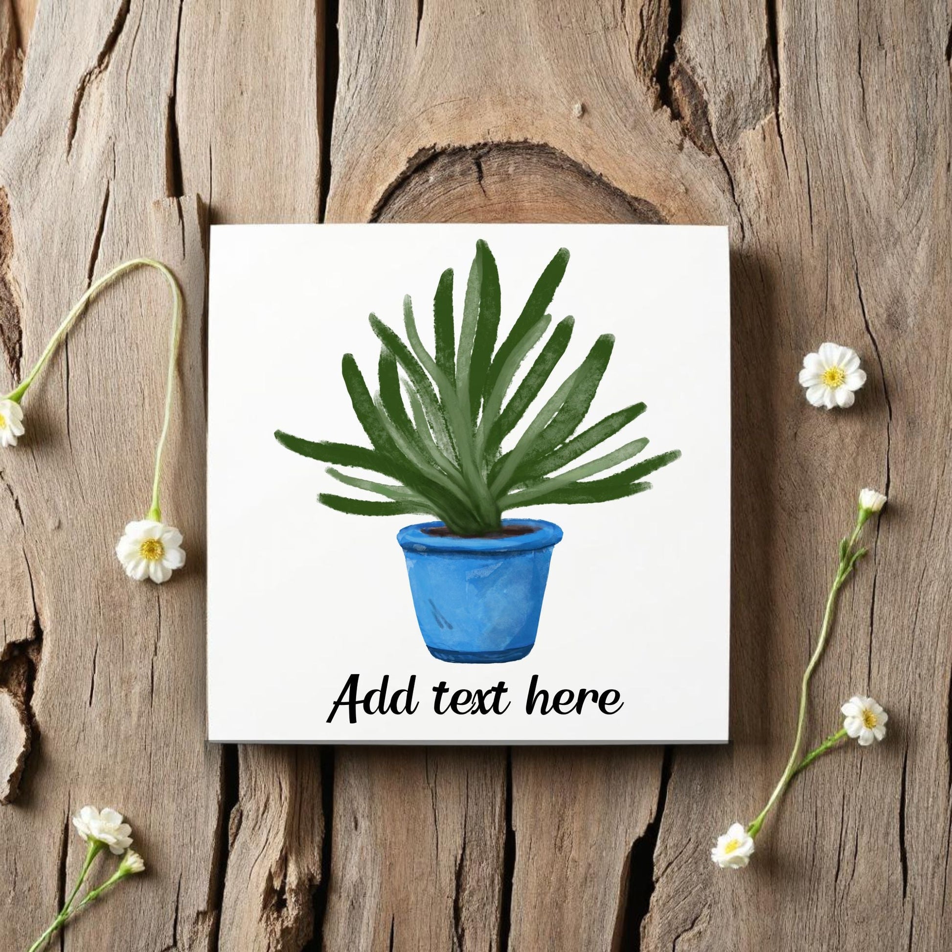 Succulent in Blue Pot Ceramic Tile - MerikaArt