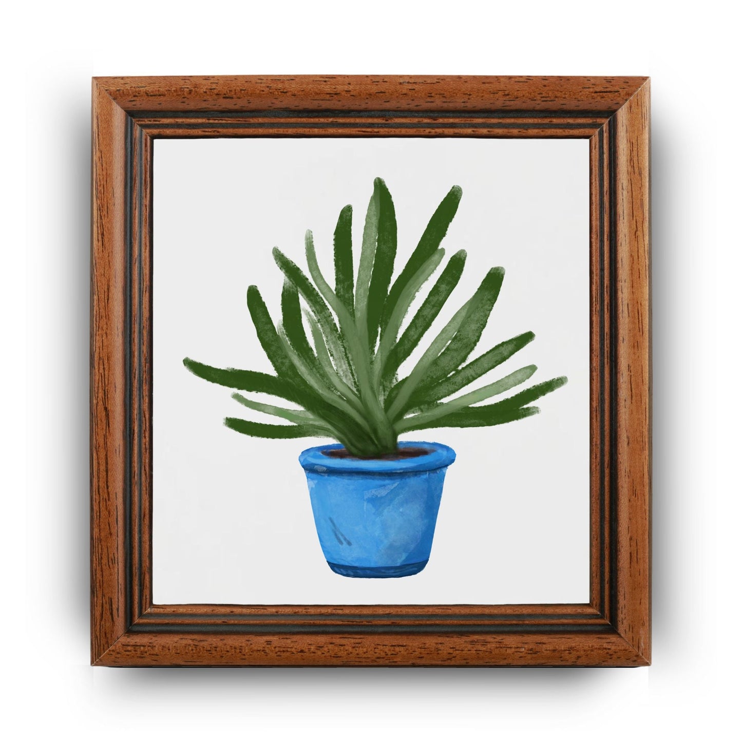 Succulent in Blue Pot Ceramic Tile - MerikaArt
