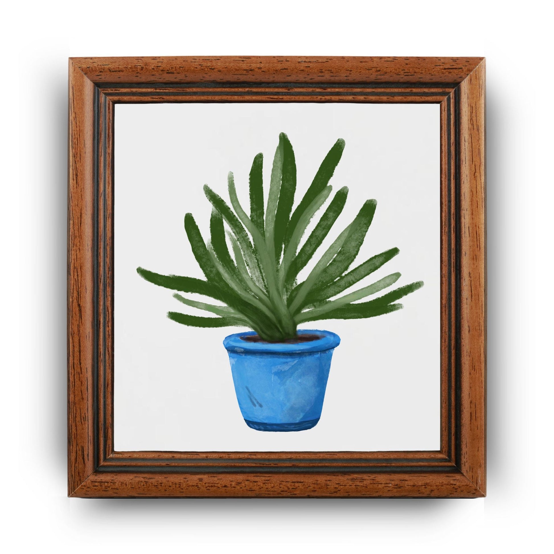 Succulent in Blue Pot Ceramic Tile - MerikaArt