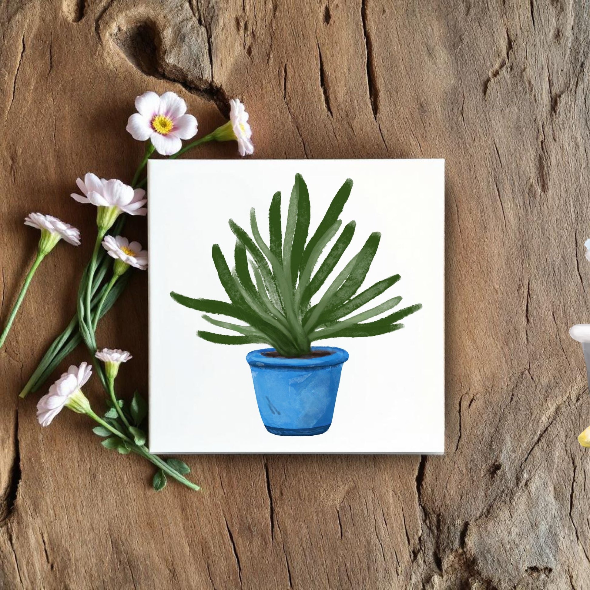 Succulent in Blue Pot Ceramic Tile - MerikaArt