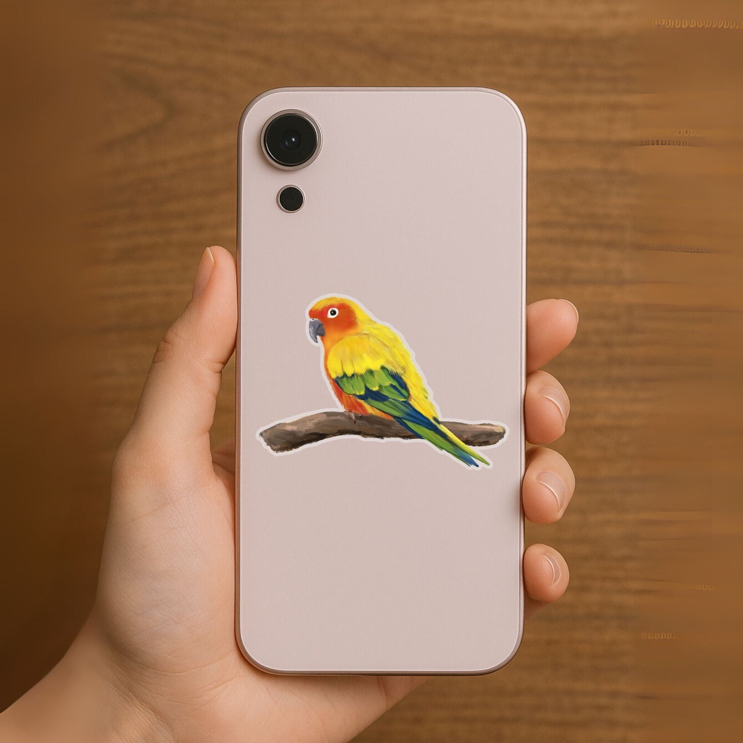 Sun Conure Vinyl Sticker - MerikaArt