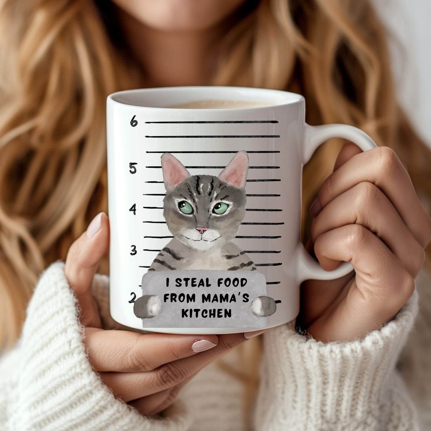 Tabby Cat Mugshot Mug - MerikaArt