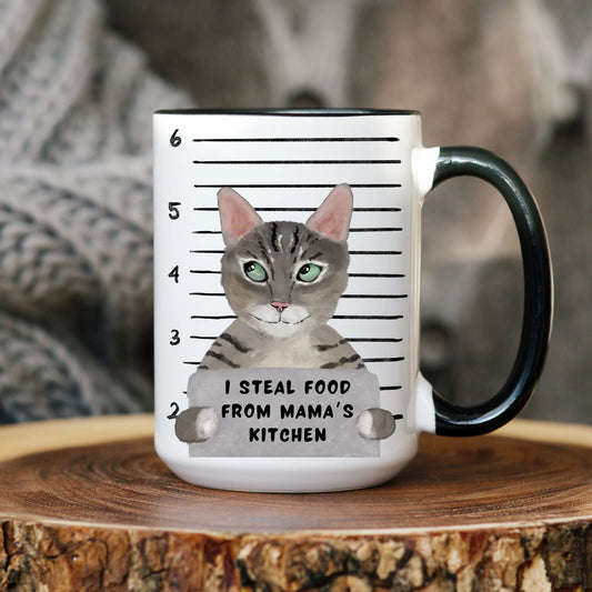 Tabby Cat Mugshot Mug - MerikaArt