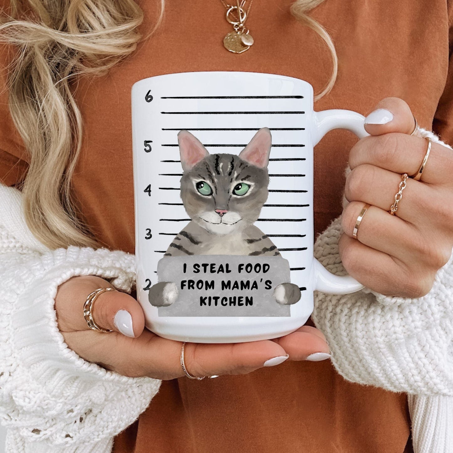 Tabby Cat Mugshot Mug - MerikaArt