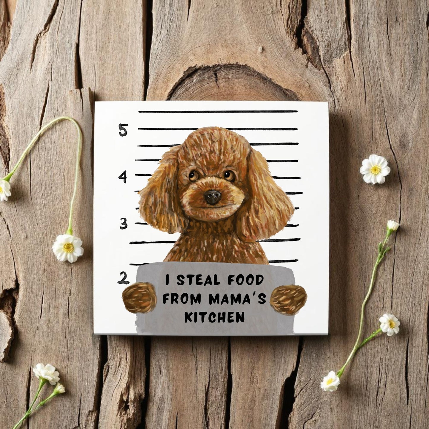 Toy Poodle Mugshot Ceramic Tile - MerikaArt