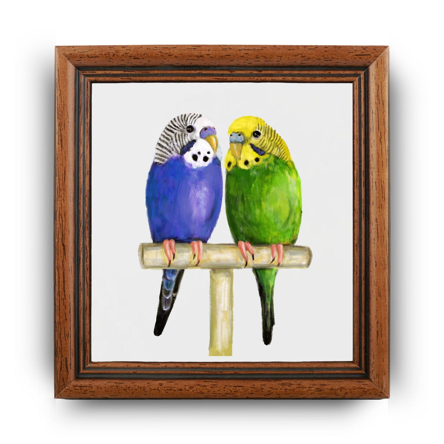 Vibrant Budgies Perched Together Ceramic Tile - MerikaArt