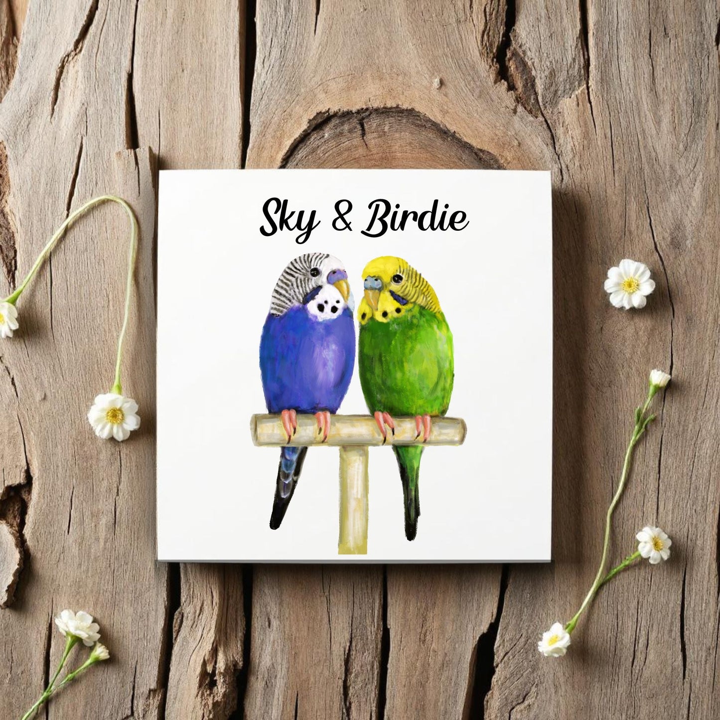 Vibrant Budgies Perched Together Ceramic Tile - MerikaArt