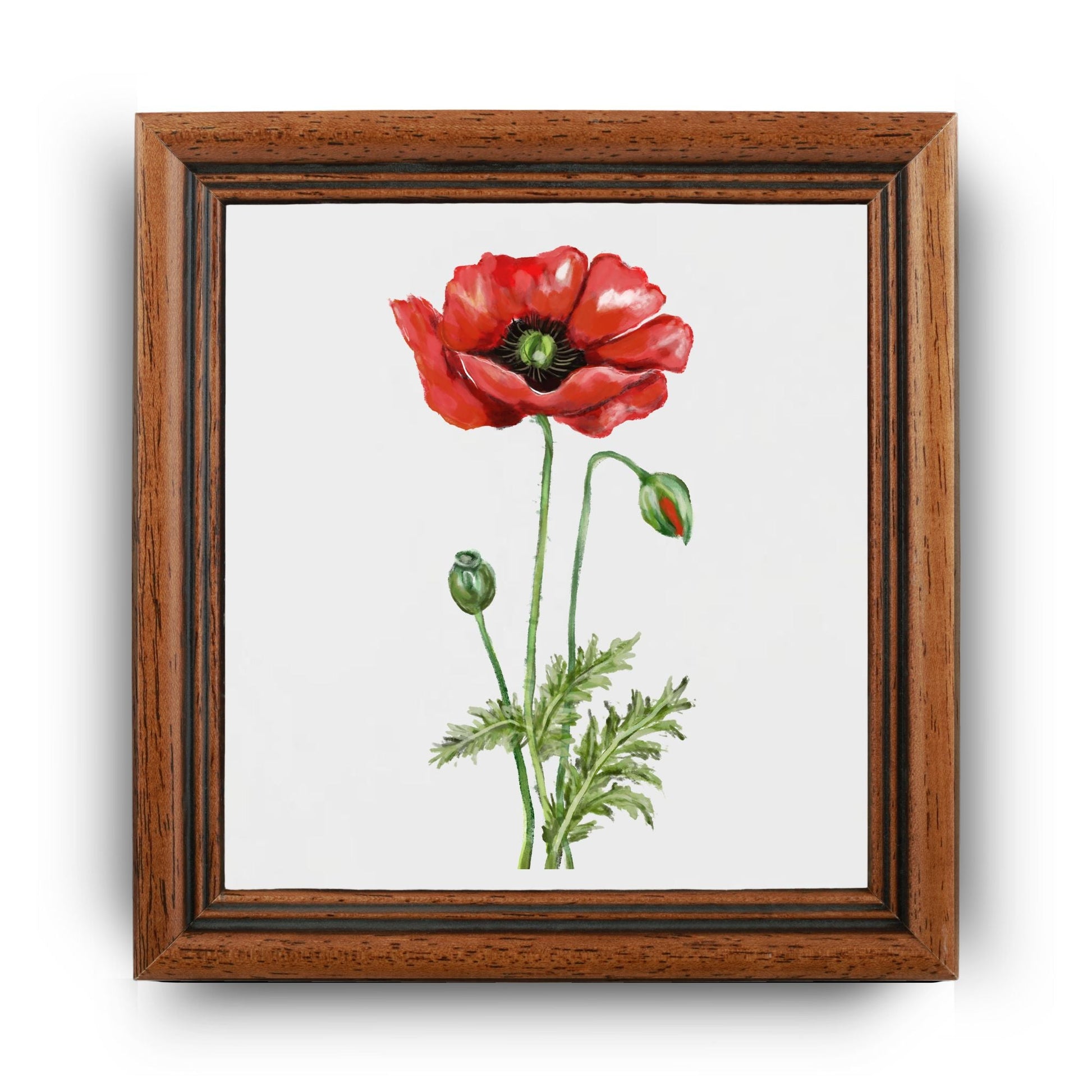 Vibrant Red Poppy Ceramic Tile - MerikaArt