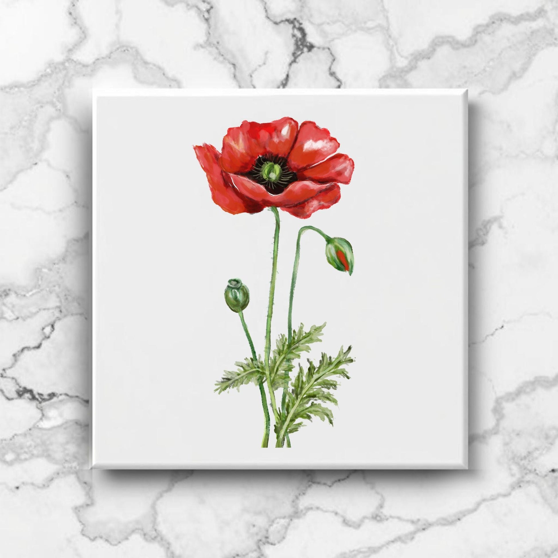 Vibrant Red Poppy Ceramic Tile - MerikaArt