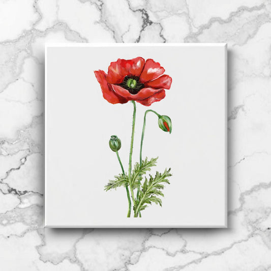 Vibrant Red Poppy Ceramic Tile - MerikaArt