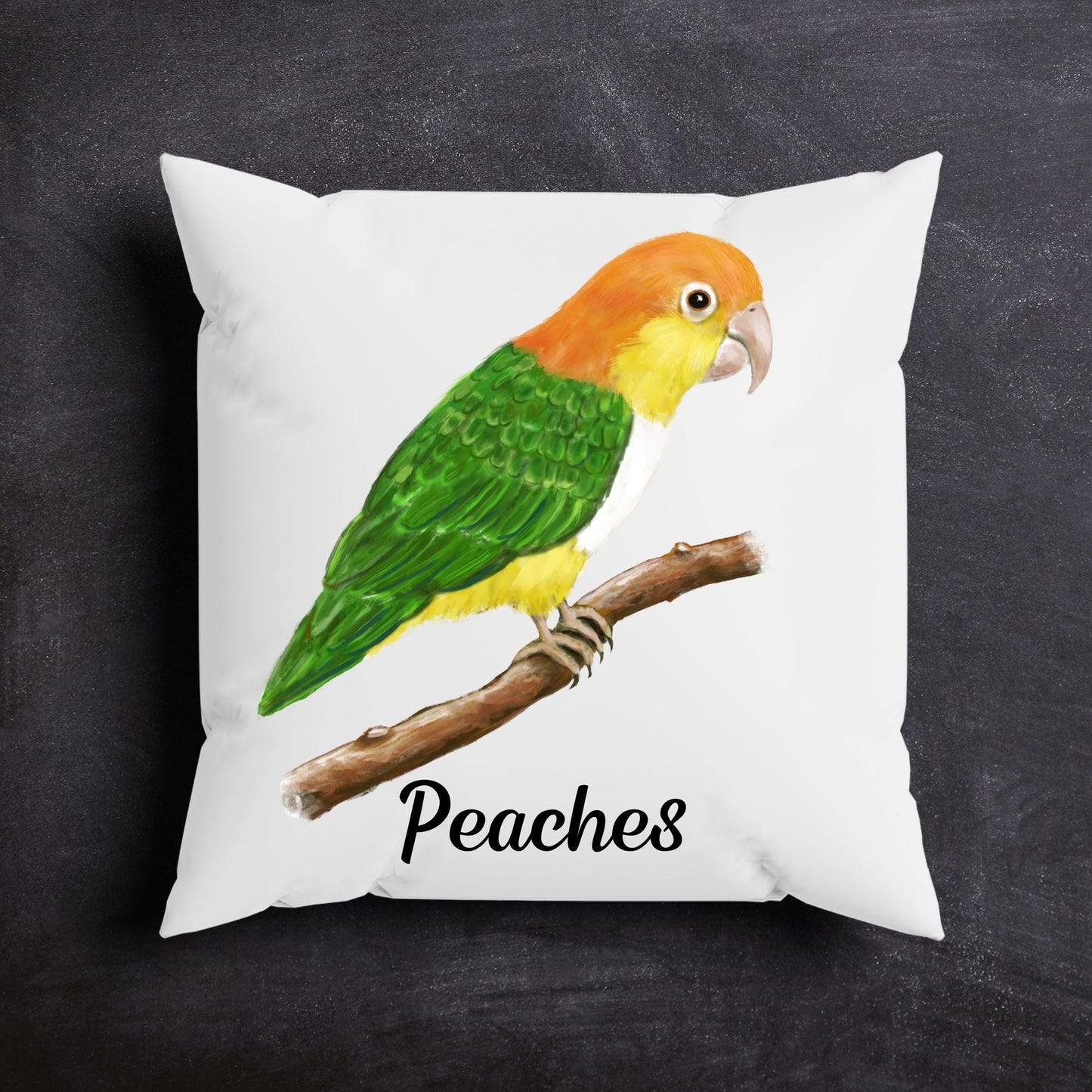 White Bellied Caique Parrot Pillow - Nature Inspired Home Decor - MerikaArt