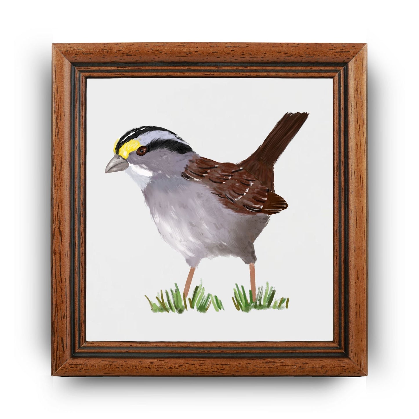 White - Throated Sparrow Ceramic Tile - MerikaArt