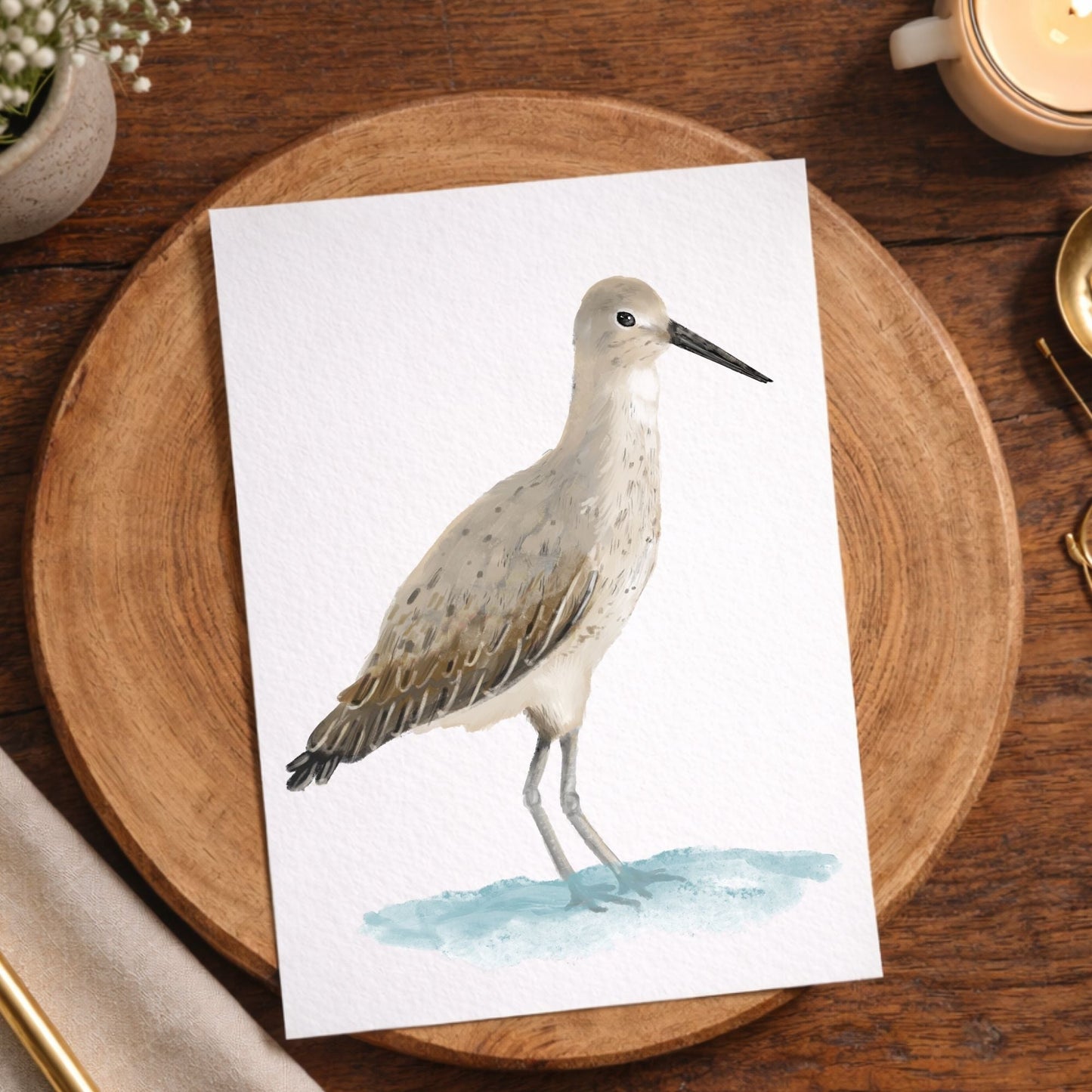 Willet Bird Postcard - MerikaArt
