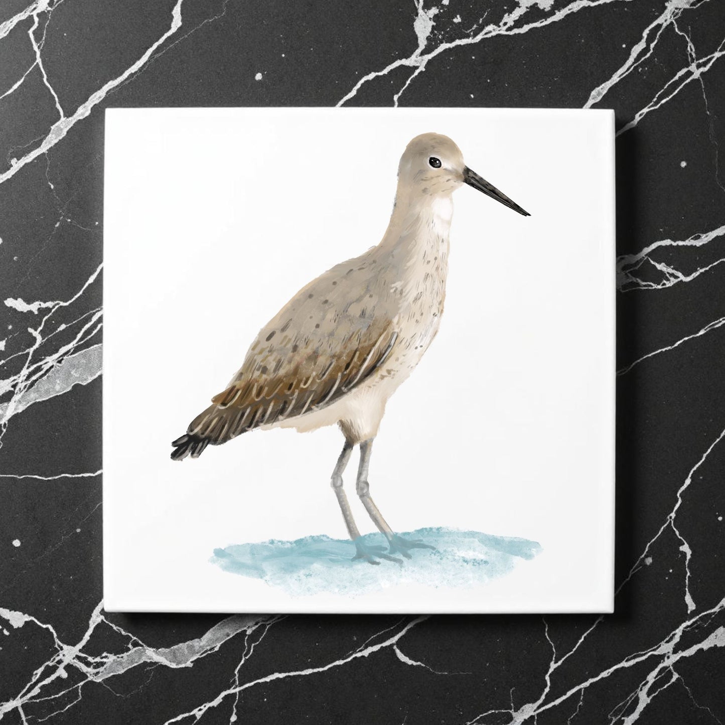 Willet Shorebird Ceramic Tile - MerikaArt
