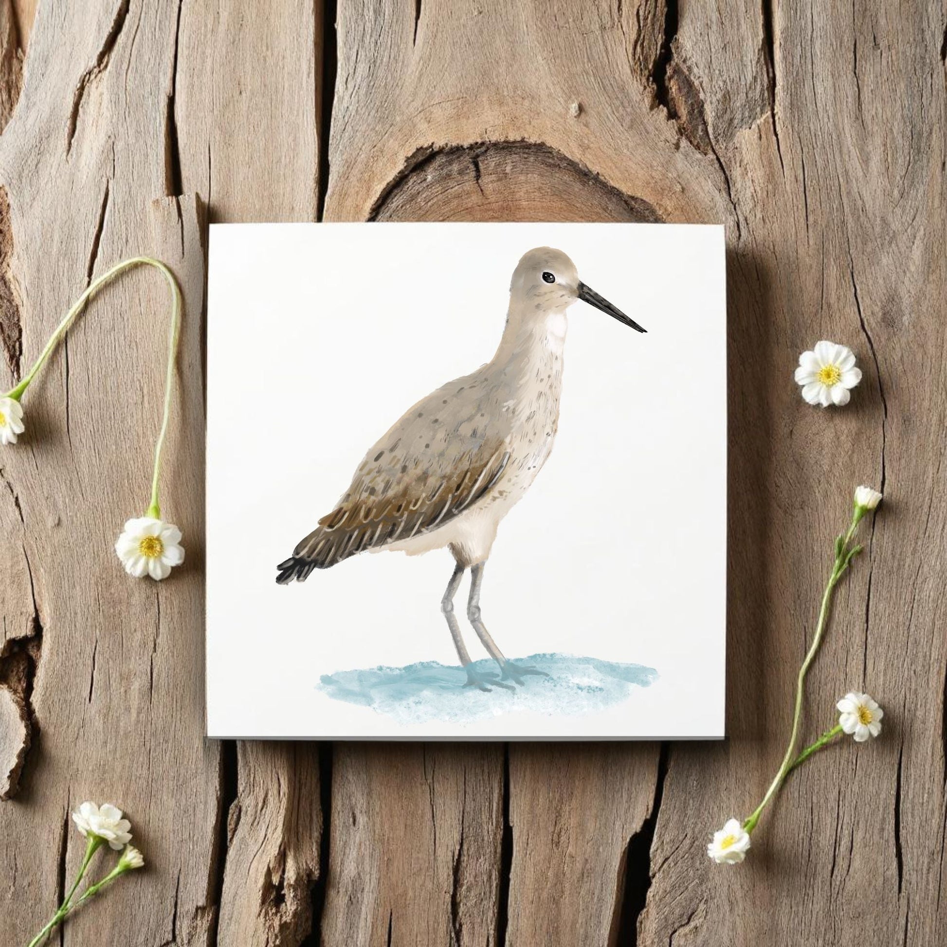 Willet Shorebird Ceramic Tile - MerikaArt