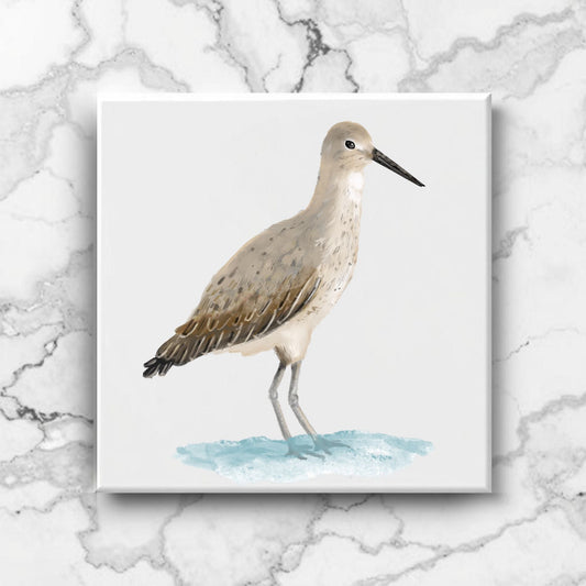 Willet Shorebird Ceramic Tile - MerikaArt