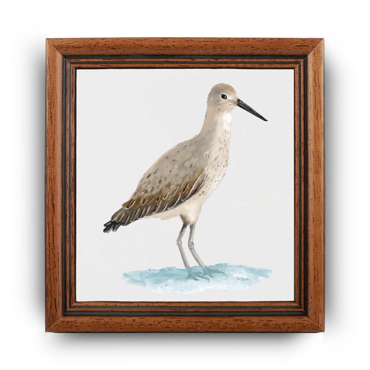 Willet Shorebird Ceramic Tile - MerikaArt