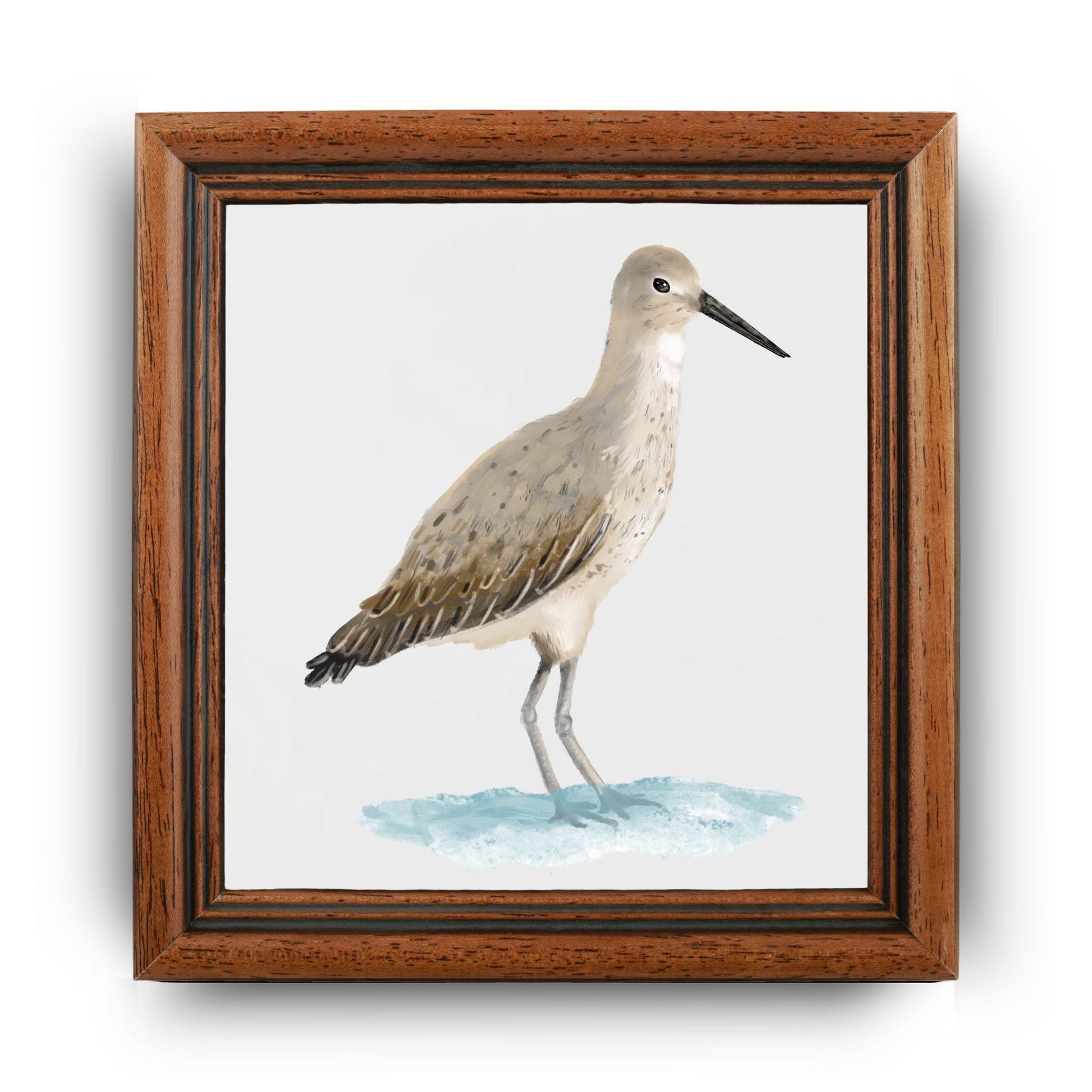 Willet Shorebird Ceramic Tile - MerikaArt