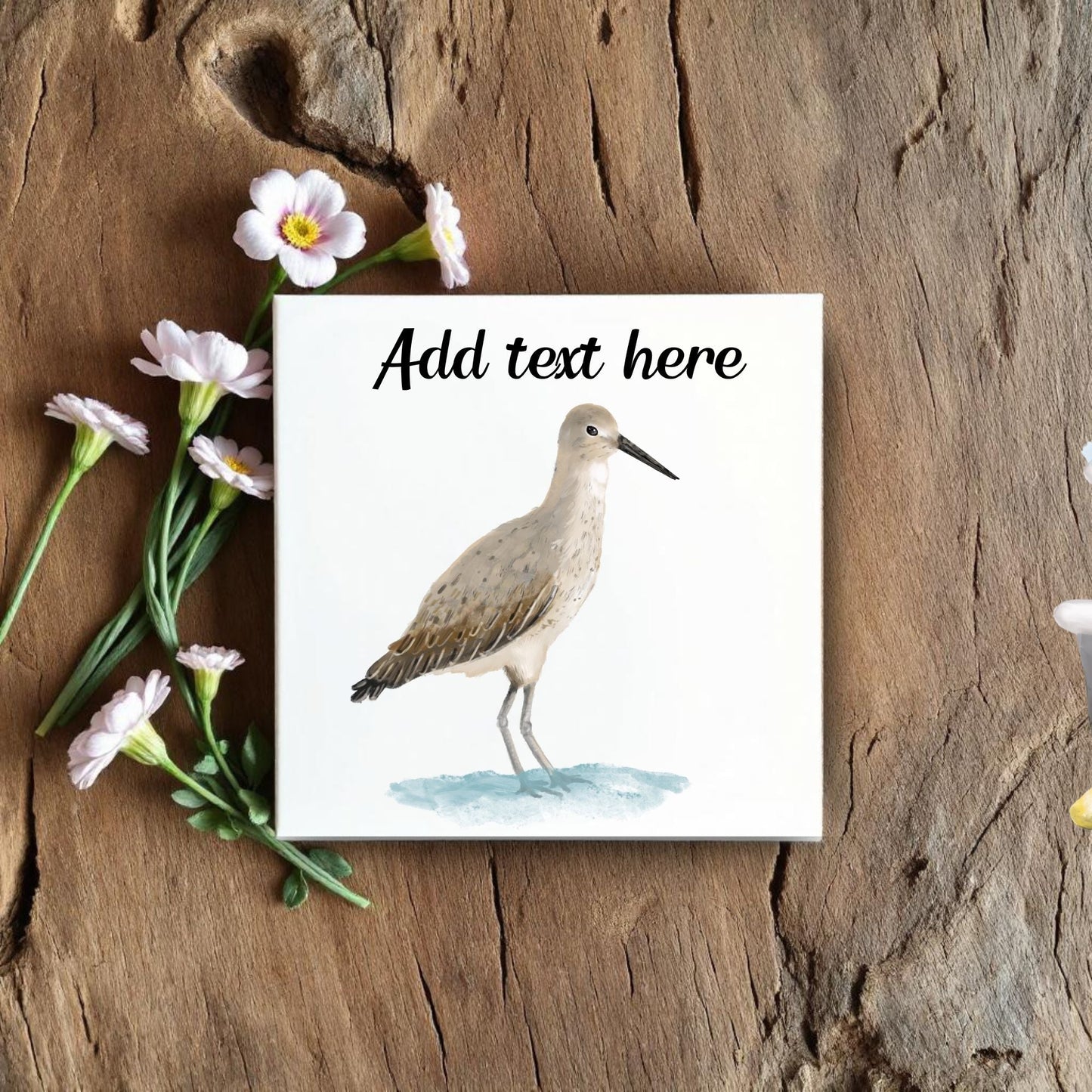 Willet Shorebird Ceramic Tile - MerikaArt
